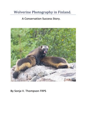 cover image of Wolverine Photography in Finland